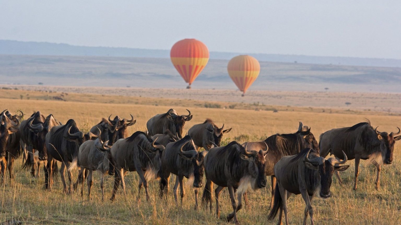Serengeti-Balloon-Safari