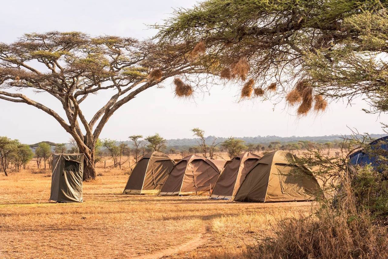 camping-safari-tanzania